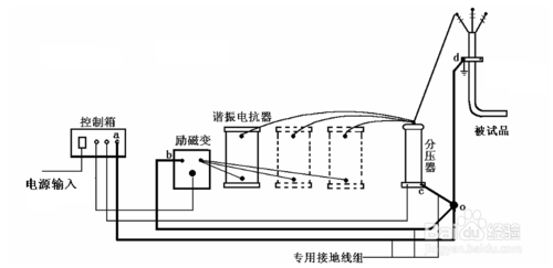 電纜荔枝视频污在线观看試驗